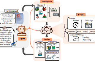 Human Cognition clues to shape the Future of AI