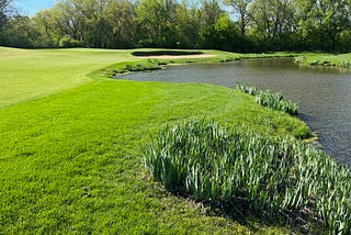 May! Poa Seedheads, Bipolaris Leaf Spot, Cyst Nematodes, and Bentgrass Variety Research