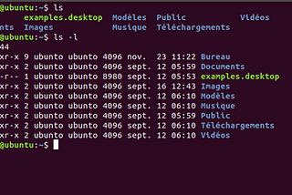 What happens when you type ls -l ?