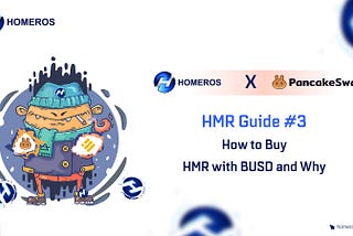 HMR Guide #3: How to Buy HMR With BUSD and Why