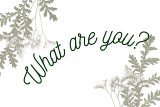 Pitiful Poet #12 — What Are You?