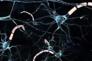 Image of neural cells