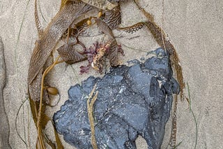 Grief Without Closure Still Needs Tending