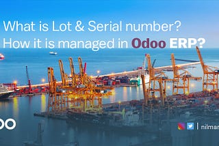 LOT & Serial Number.? How it is managed in business and ERP System