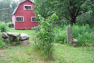 Let’s Drop a Brick in the Well