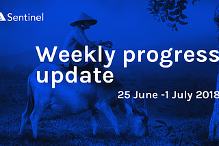 📝 Weekly Progress Update — 25 June to 1 July 2018