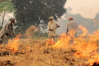 How might we help reduce the ever-expanding practice of crop residue burning in South East Asia?