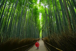 A path leading through a forest, woman holding a red parasol.