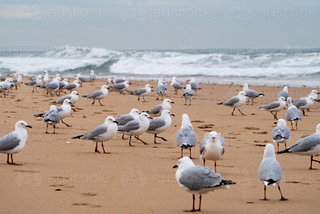 Agentic AI for Anomaly Detection — (9) Local Outlier Factor (LOF)