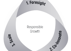 RESPONSIBLE GROWTH: New Paths for Courageous Companies