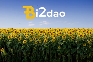 Bidao August Update: A new era begins