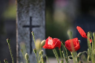 Bright red flowers with an old headstone with a cross in the background