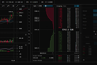 A Platform-Centric View of the Kraken Exchange