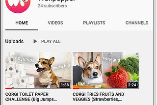 Wallpupper Introduces its YouTube Channel