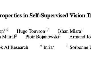 Papers Explained 249: DINO