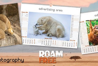 Top 4 Reasons To Avail Promotional Calendars For Shopping Season