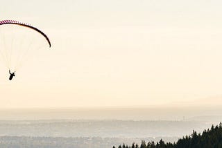 Learning To Fly by Michael Cann