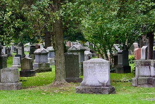 A cemetery with graves visible under a tree.