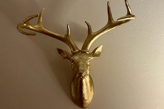 What Should I Name My Deer Head?