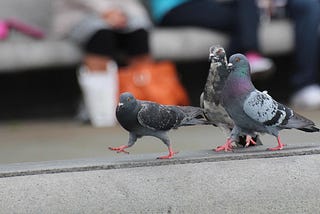 Don’t Lose Your Awkward