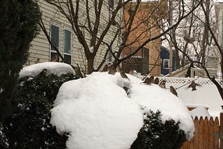 Please and Thank You