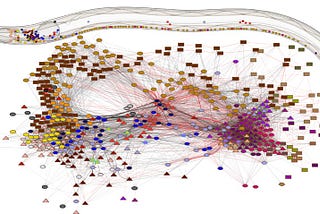 How Machine Learning is Used for Mapping the Brain