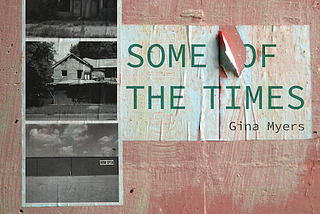 Book Review: Some of The Times by Gina Myers