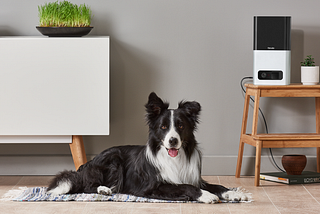 The ultimate tech for you and your new furry friend