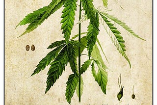 Marijuana, Menopause, and Me