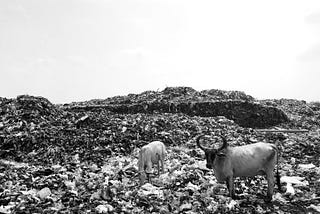 Introducing a Very High-Resolution Dataset of Landfills and Waste Dumps