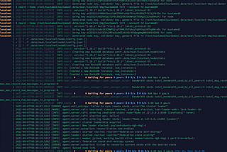 Setup a kuutamo High Availability (HA) NEAR Validator