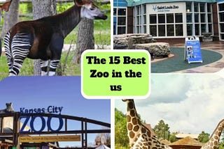 The Best Zoos in the US: Enjoy Natural Life