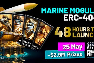 48 Hours To Marine Moguls ERC-404 Launch