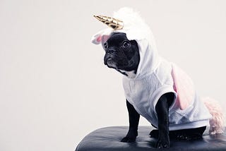 Cute pug dog with pink costume looks onward. She believes she’s a unicorn, therefore she is, may her courage endure her might