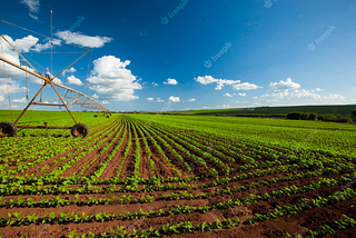 How AI is Transforming Brazil’s Agriculture Industry: A Look into Localization Technologies