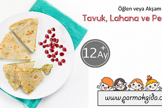 Tavuk Lahana ve Peynirli Tost