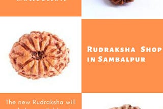 Best Rudraksha Shop in Sambalpur