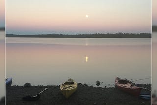 Matthew Cook Maine