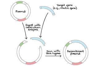 Starter Toolkit Series: Molecular Cloning