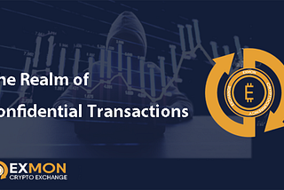 Anonymous Exchanges: The Realm of Confidential Transactions