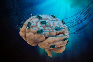 The WICKED Side of Human Brain-Cell-Powered Computers