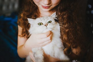 Myths About Cat Ladies I’ll Debunk Using My Experiences as a Cat Lady