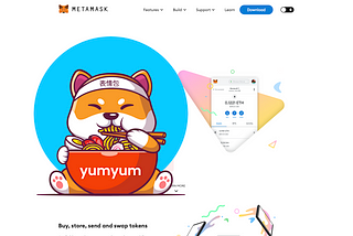 How to setup MetaMask?