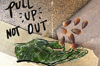 Picture of hand with seeds and the words “Pull Up Not Out”