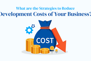 What are the Strategies to Reduce Development Costs of Your Business?