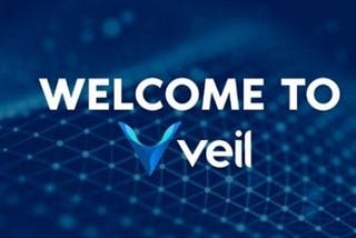 VEIL: A ALWAYS-ON PRIVACY UNCOMPROMISED