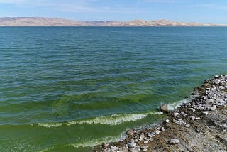 A US Water Issue/Toxic Waters in The High SierrUpdated