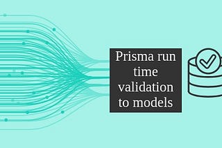 Prisma runtime custom validation to models