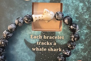 A Whale Shark, a Bracelet, and a Story That Came Full Circle
