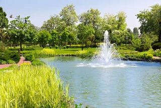 Enhance Your Pond’s Health with Effective Pond Aerators and Cleaners